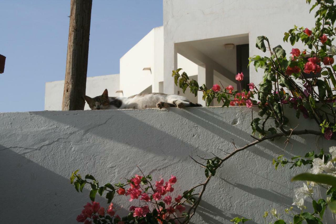 Auberge Keur Diame Dakar Zewnętrze zdjęcie